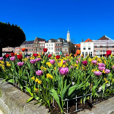 Bed & Breakfast De Amsterdamse Poort Haarlem